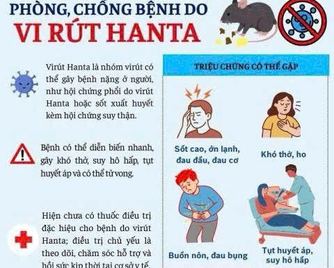 Thông tin và khuyến cáo các biện pháp phòng chống bệnh do virucs Hanta